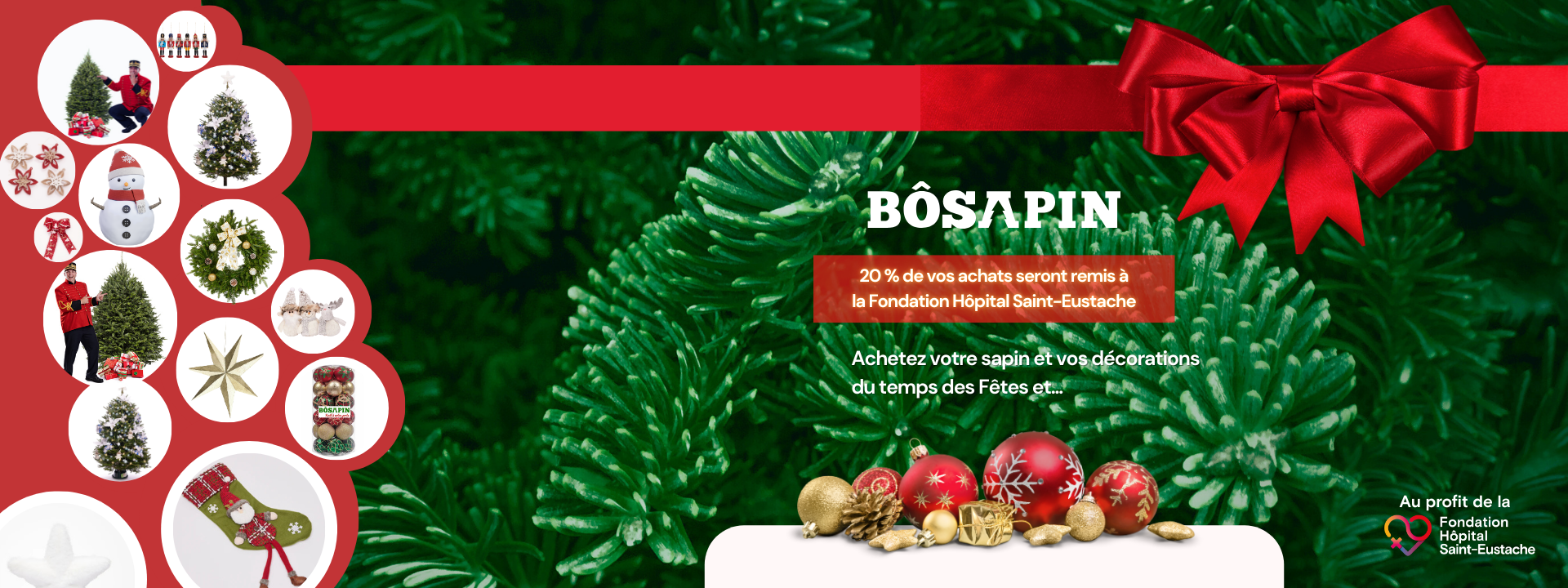 campagne bosapin 2025
